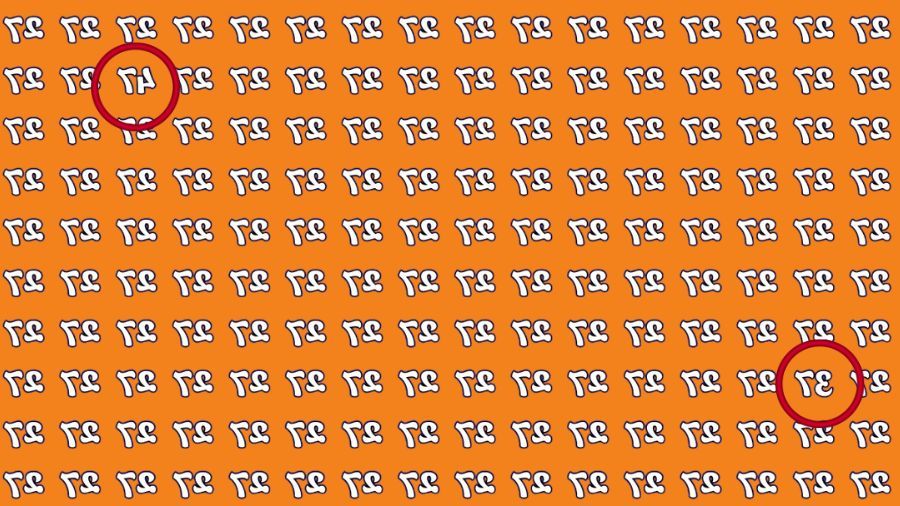 Az IQ-teszt megfejtése