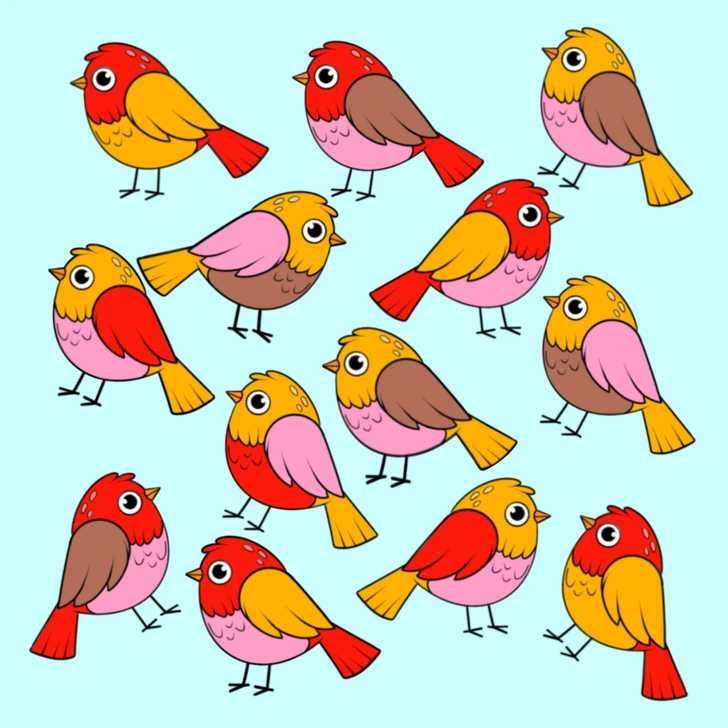 Különleges madár IQ-teszt