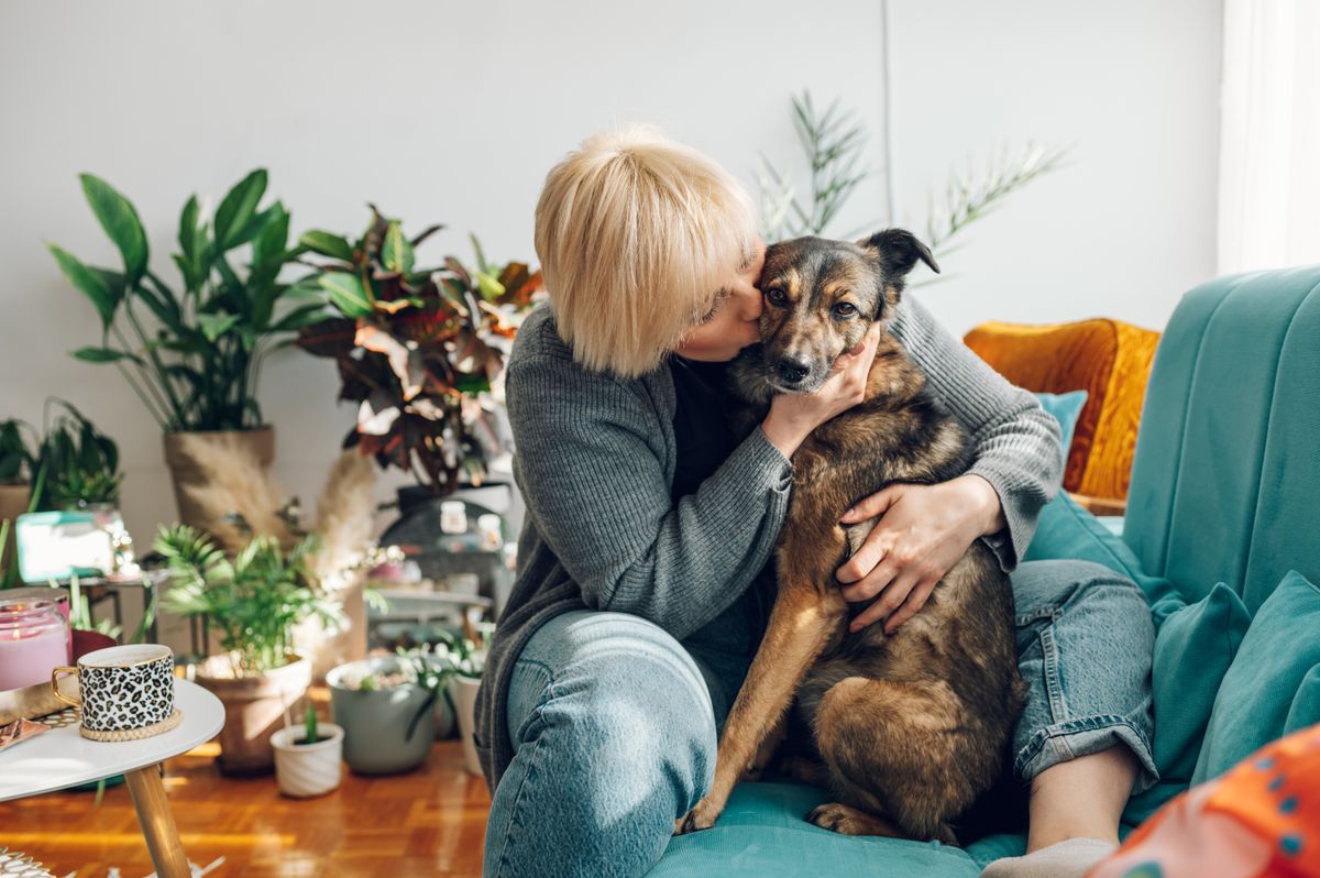 Kutyatartás lakásban