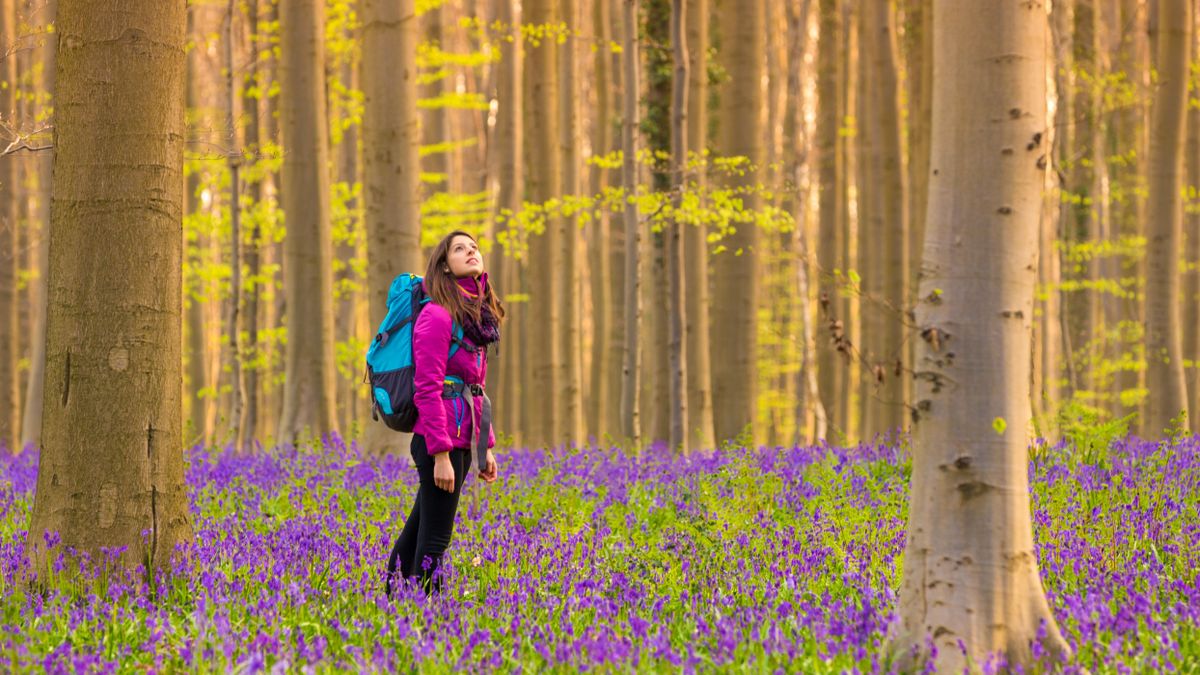 Napi horoszkóp 2026. március 14.: a Szűz jótékonykodik, a Nyilas határidőt módosít