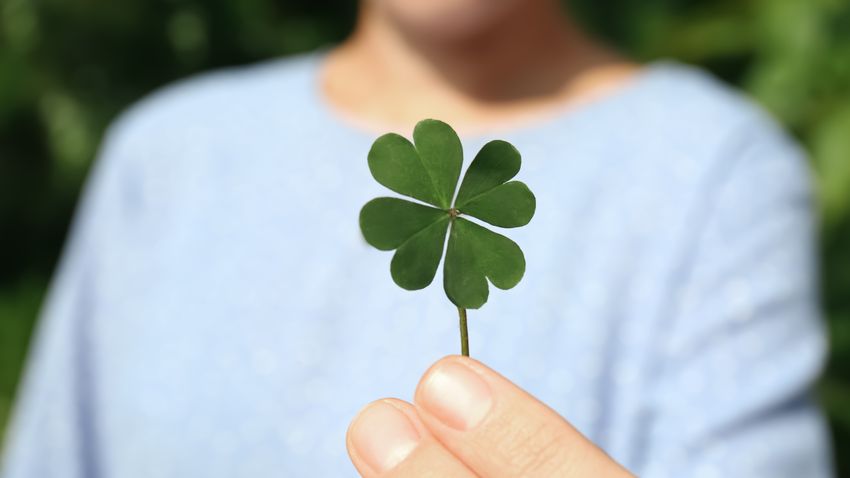 Kvíz kérdést ábrázoló kép.