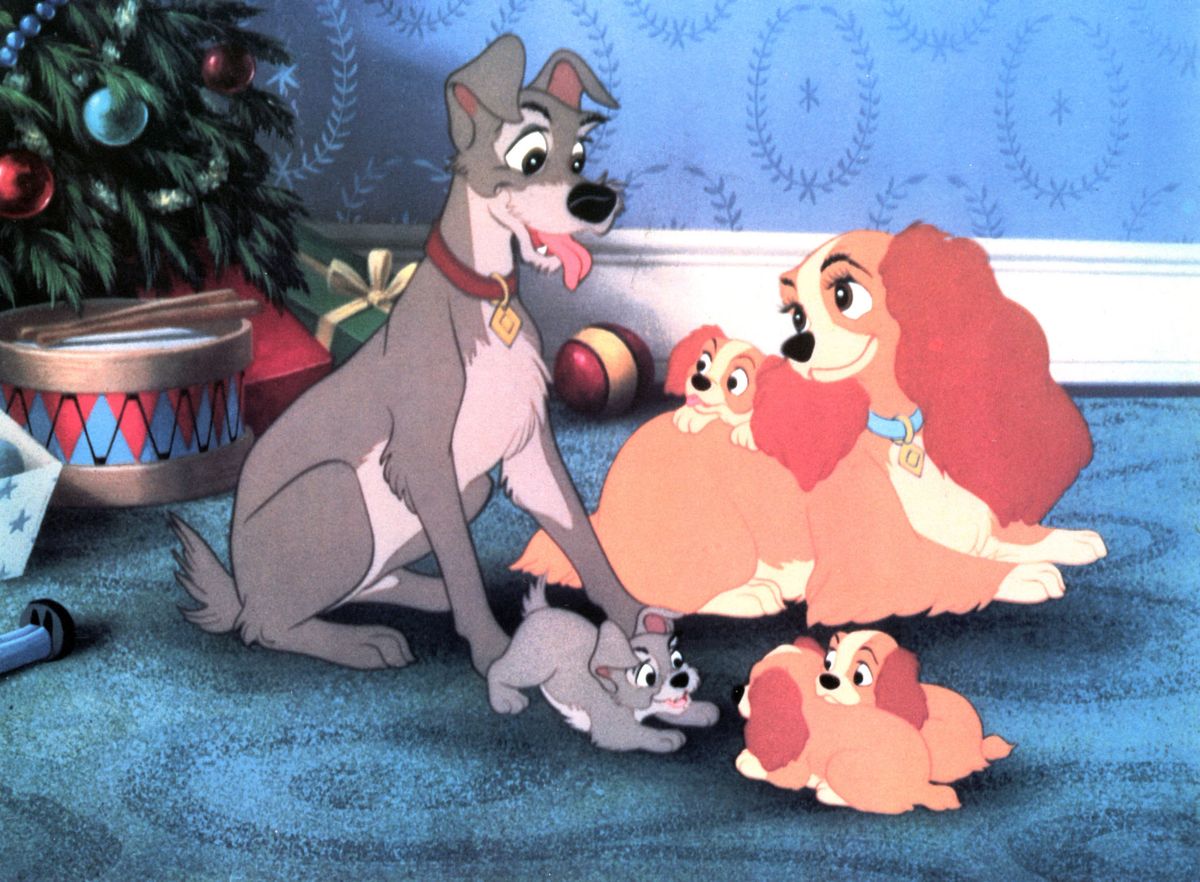 RELEASE DATE: June 1955. MOVIE TITLE: Lady and the Tramp. STUDIO: Walt Disney Productions. PLOT: Lady, a golden cocker spaniel, meets up with a mongrel dog who calls himself the Tramp. He is obviously from the wrong side of town, but happenings at Lady's home make her decide to travel with him for a while. This turns out to be a bad move, as no dog is above the law.