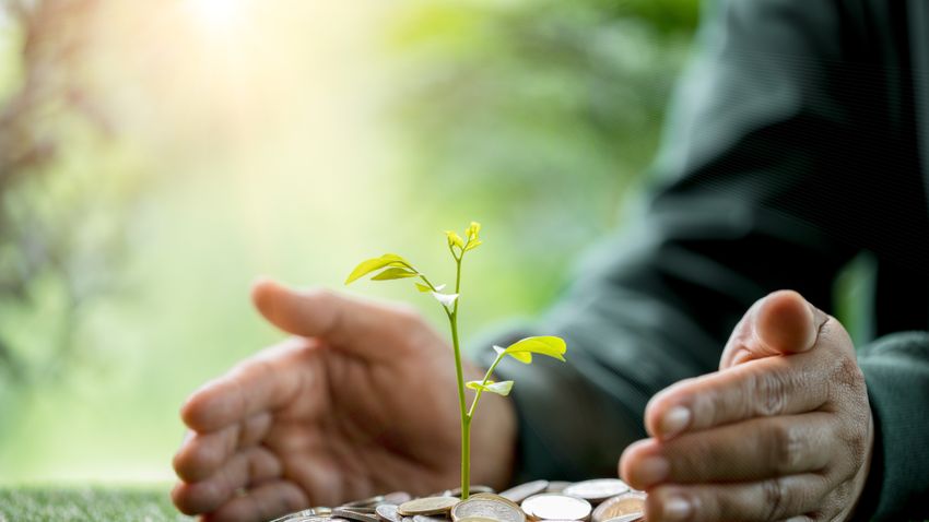 Kvíz kérdést ábrázoló kép.