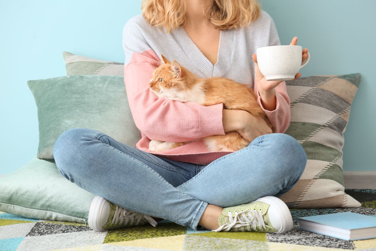 A macska színe mit jelent?