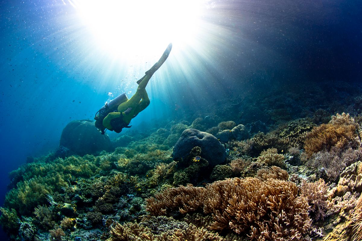 A mélytengeri búvárok munkanapja nem a korallzátonyok videózgatásával telik