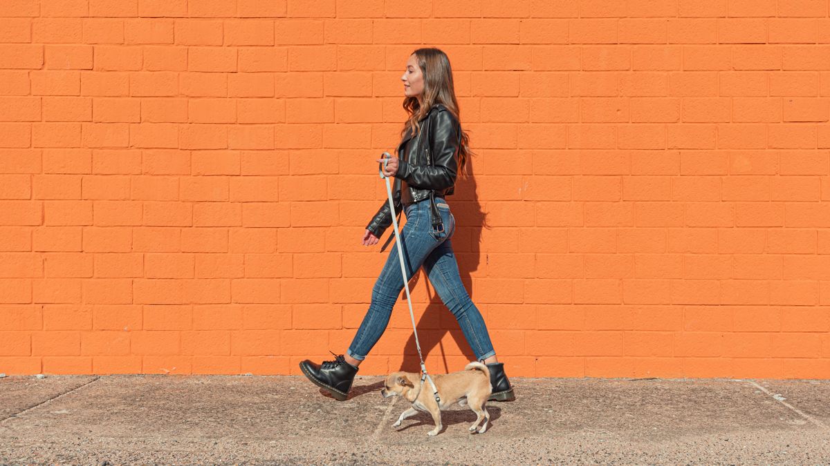 Napi horoszkóp 2026. március 16.: a Baknak csodálója akad, a Szűz gyengédséget mutat