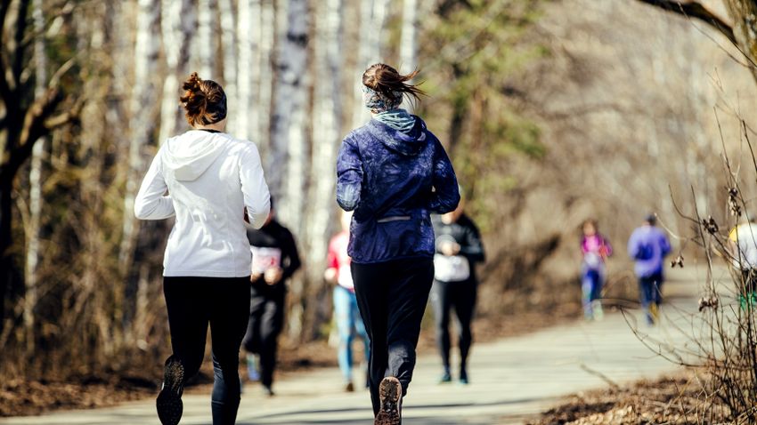 Kvíz kérdést ábrázoló kép.