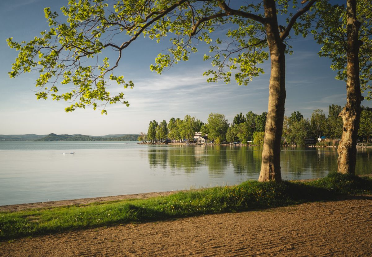  Trópusi hínár lepheti el a Balatont.