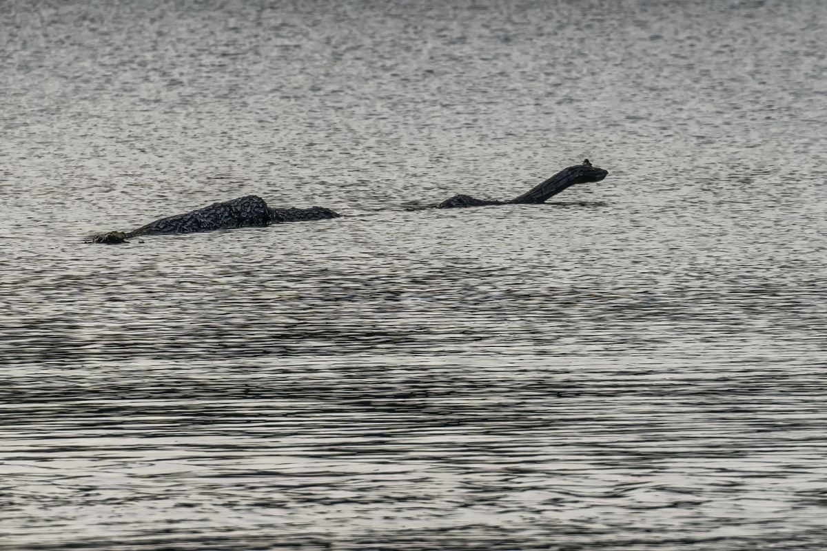 Illusztráció a Loch Ness-i szörnyről.