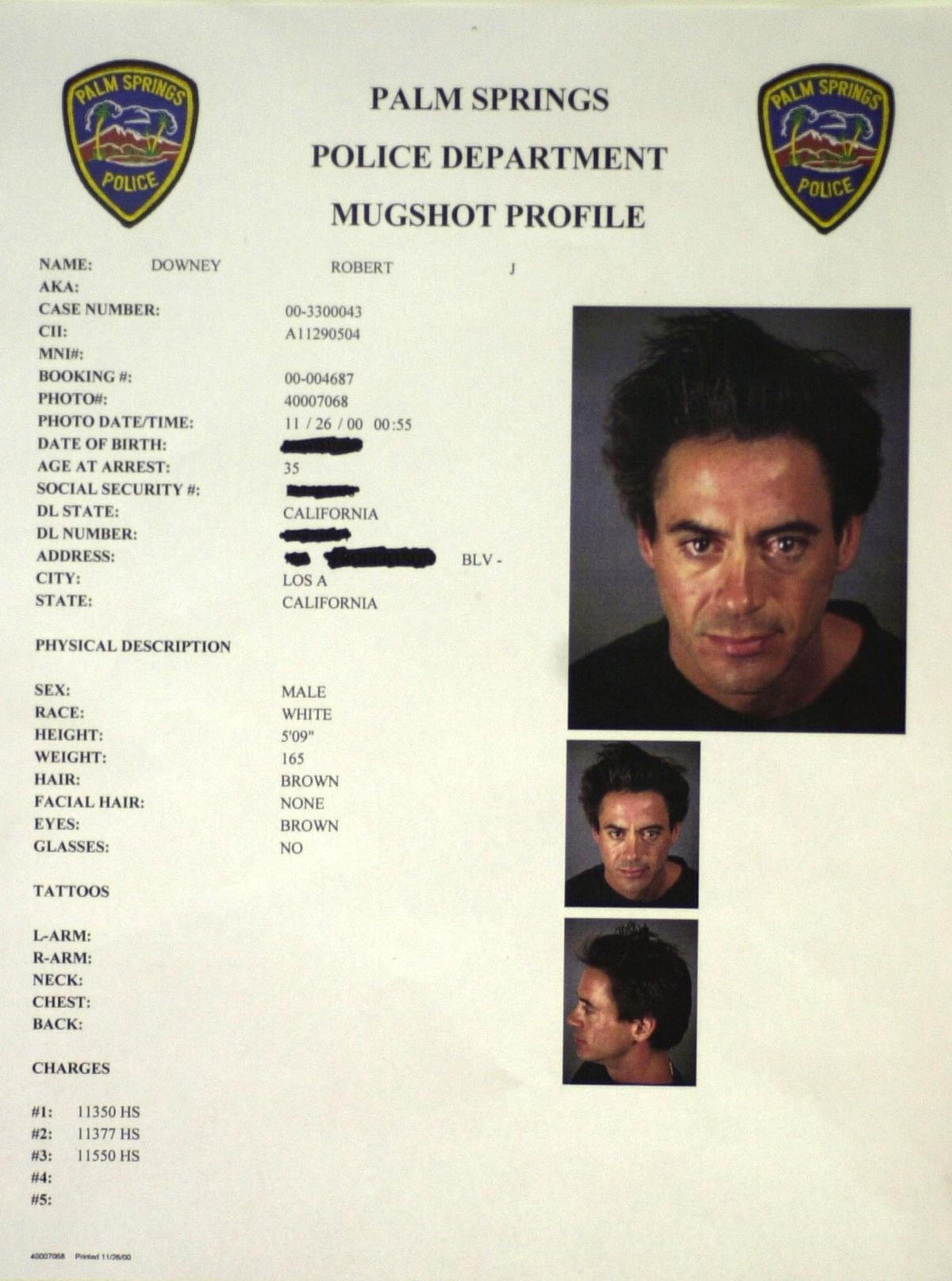382412 03: Robert Downey Jr. is shown in a mugshot profile November 25, 2000, after his arrest at the Merv Griffin Resort in Palm Springs, Calif. for drug possession. An anonymous caller led investigators to a hotel room at the resort where they found the actor alone with cocaine and methamphetamines, Palm Springs police officer Ralph Landry said. (Newsmakers Photo/Palm Springs Police Department).