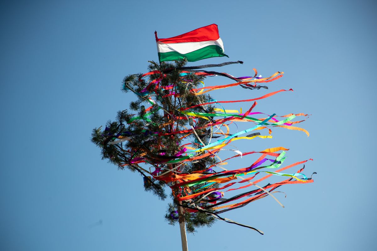 májusfa, színes szalagokkal