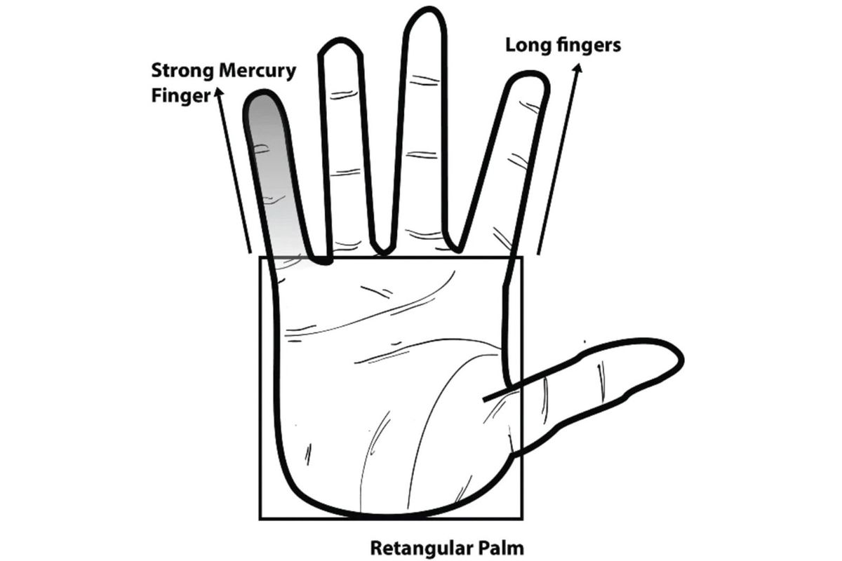 A tenyérjóslás szerint a kéz formája különleges személyiséget is jelezhet.