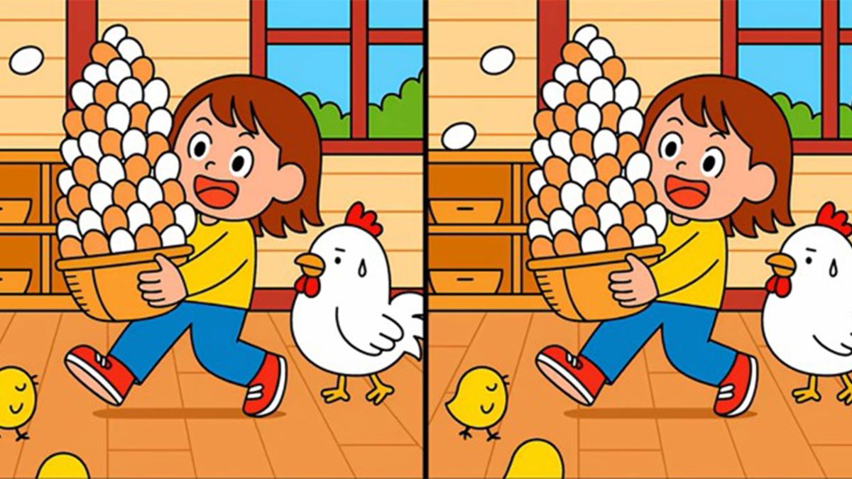 IQ-teszt – képrejtvény