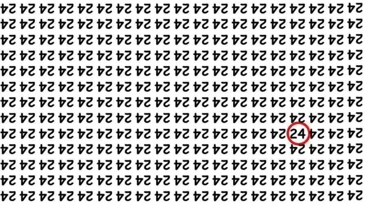 agytorna, fejtörő megoldása