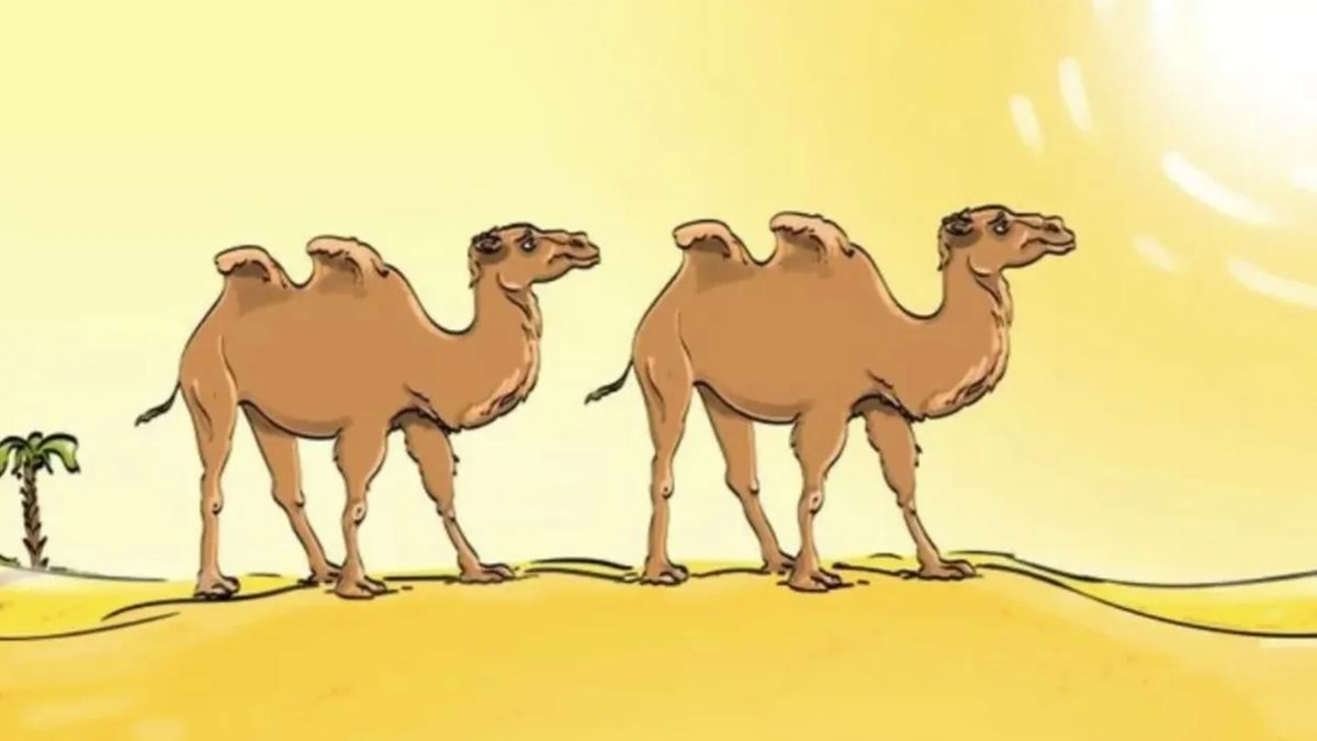 Tevés képes IQ-teszt