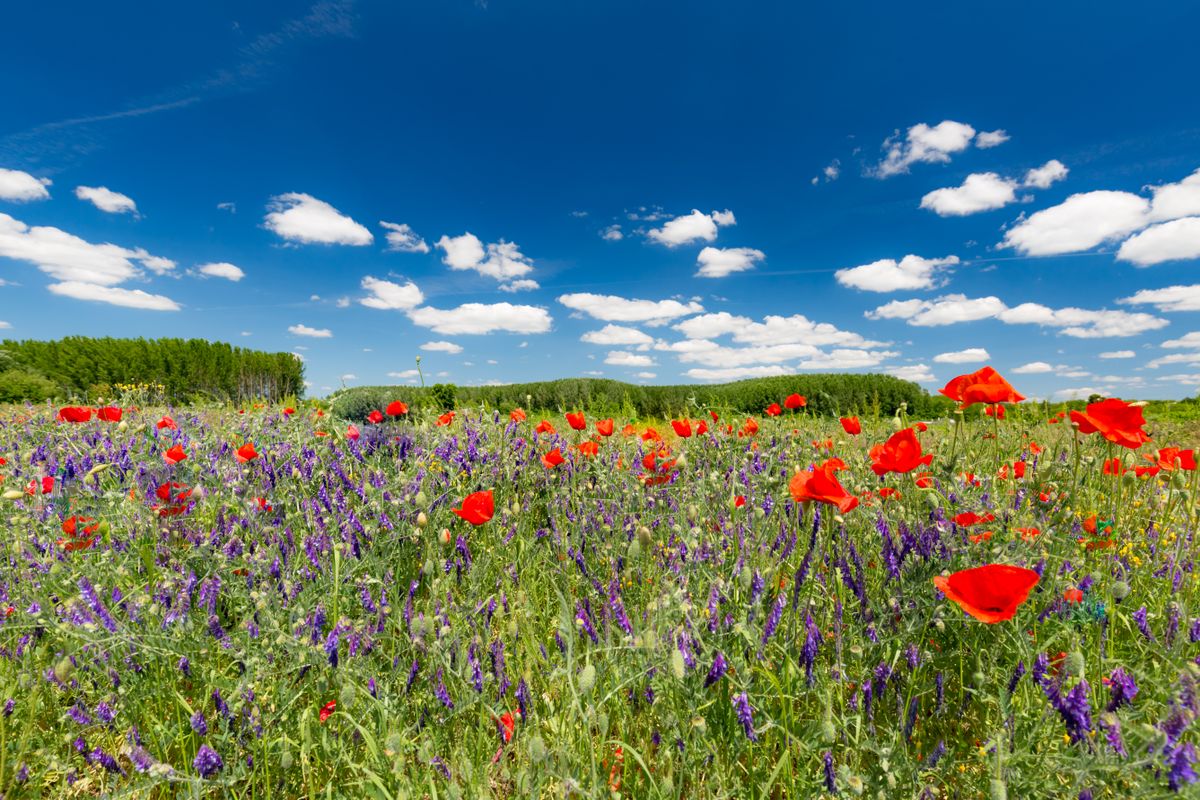 A május elsejei hosszú hétvégén nem lesz pólós idő - Képünk illusztráció