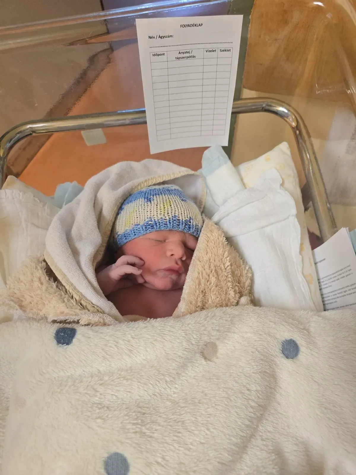 Bangó Margit ükunokája, a kis Norbert