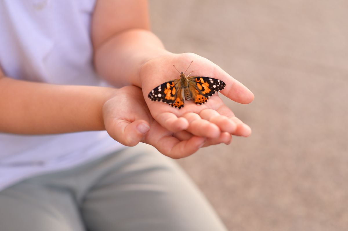 A pillangóbőr a nevét onnan kapta, hogy az érintett személyek bőre olyan törékeny, mint egy pillangó szárnya
