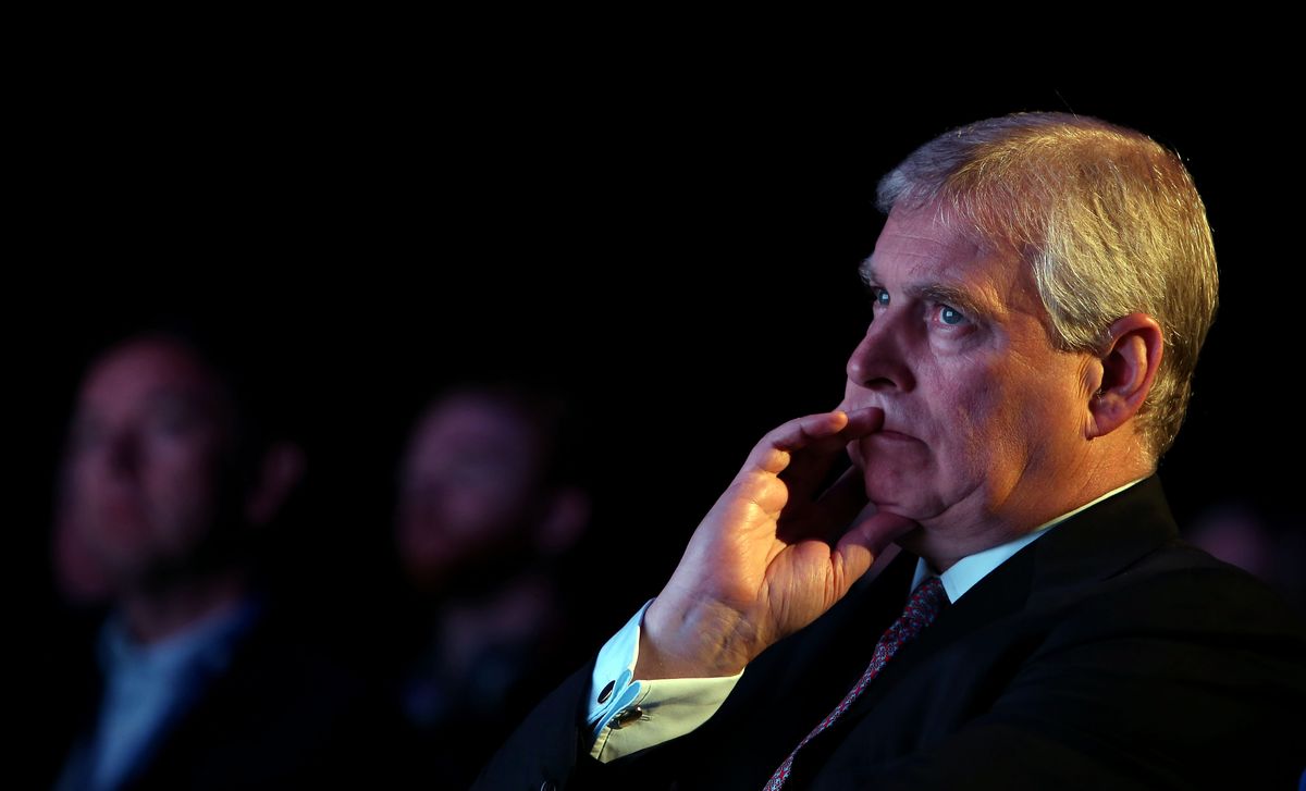 András herceg 1995-ben fotóalbumot adott ki, de nagyon rossz kritikát kapott.