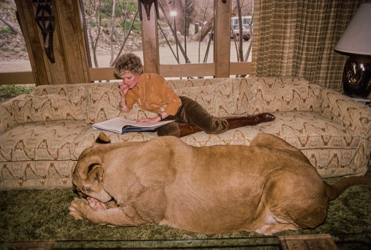 Tippi Hedren és oroszlánja
