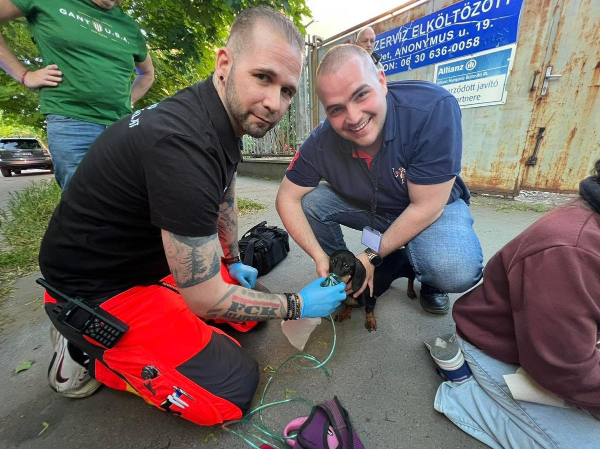 Az Országos Mentőszolgálat ismét bebizonyította, hogy senkit nem hagynak magára: ezúttal egy nyuszin és egy tacskón is segítettek.
