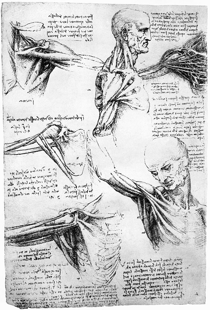 leonardo da vinci