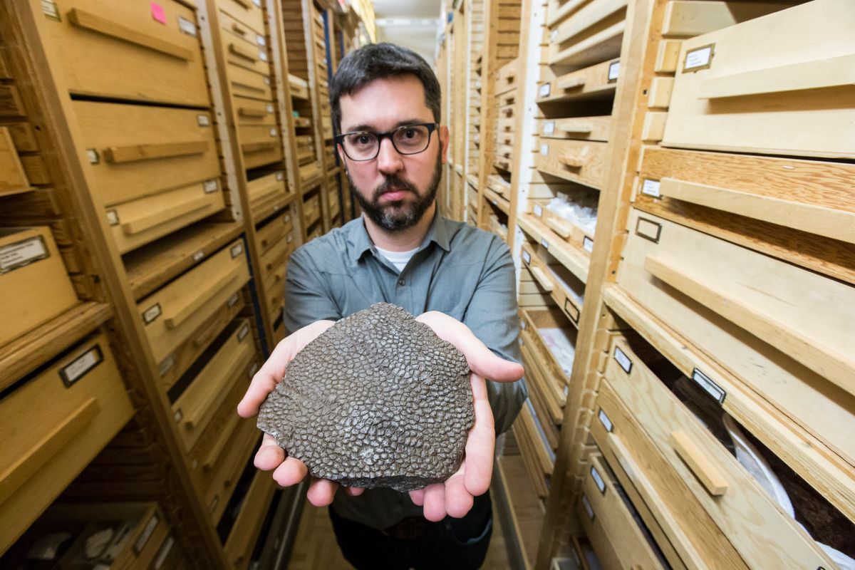 Ez nem egy fikció: T-rex-bőrből készült táskát dobtak piacra