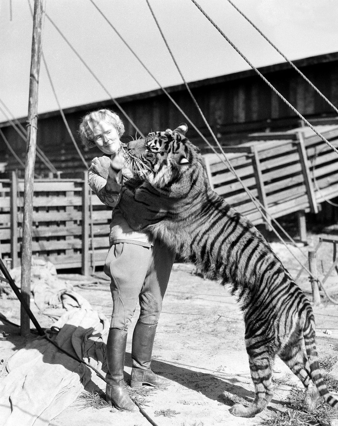 Mabel Stark a világ leghíresebb női tigrisidomára. 