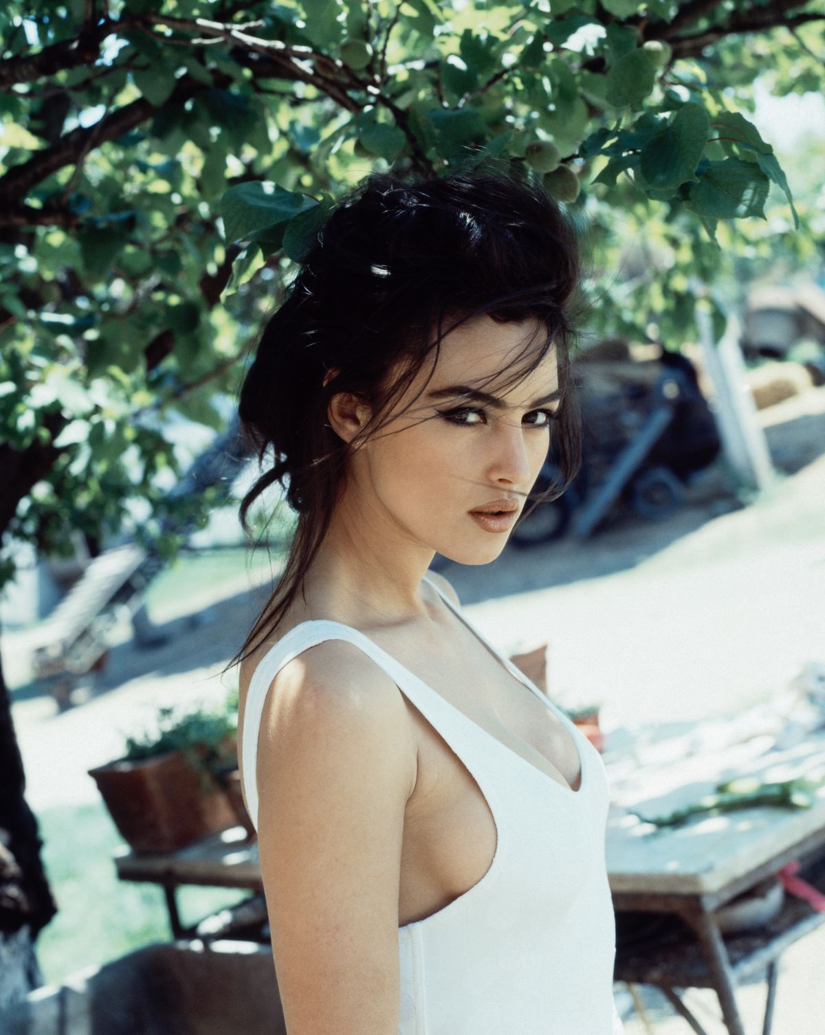 Az olasz szépség, Monica Bellucci, szépségével leigázta az egész filmipart. 