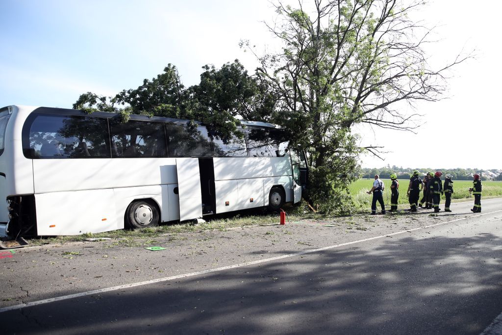 Halálos buszbaleset történt szombat reggel Pécs közelében