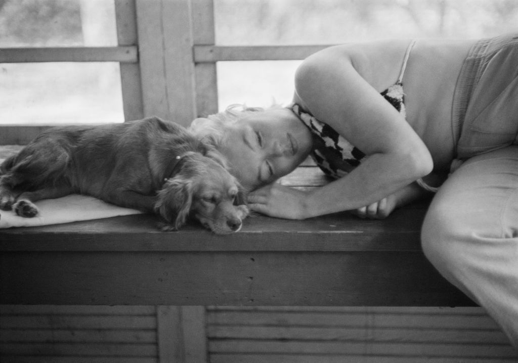 Marilyn Monroe állatszeretete