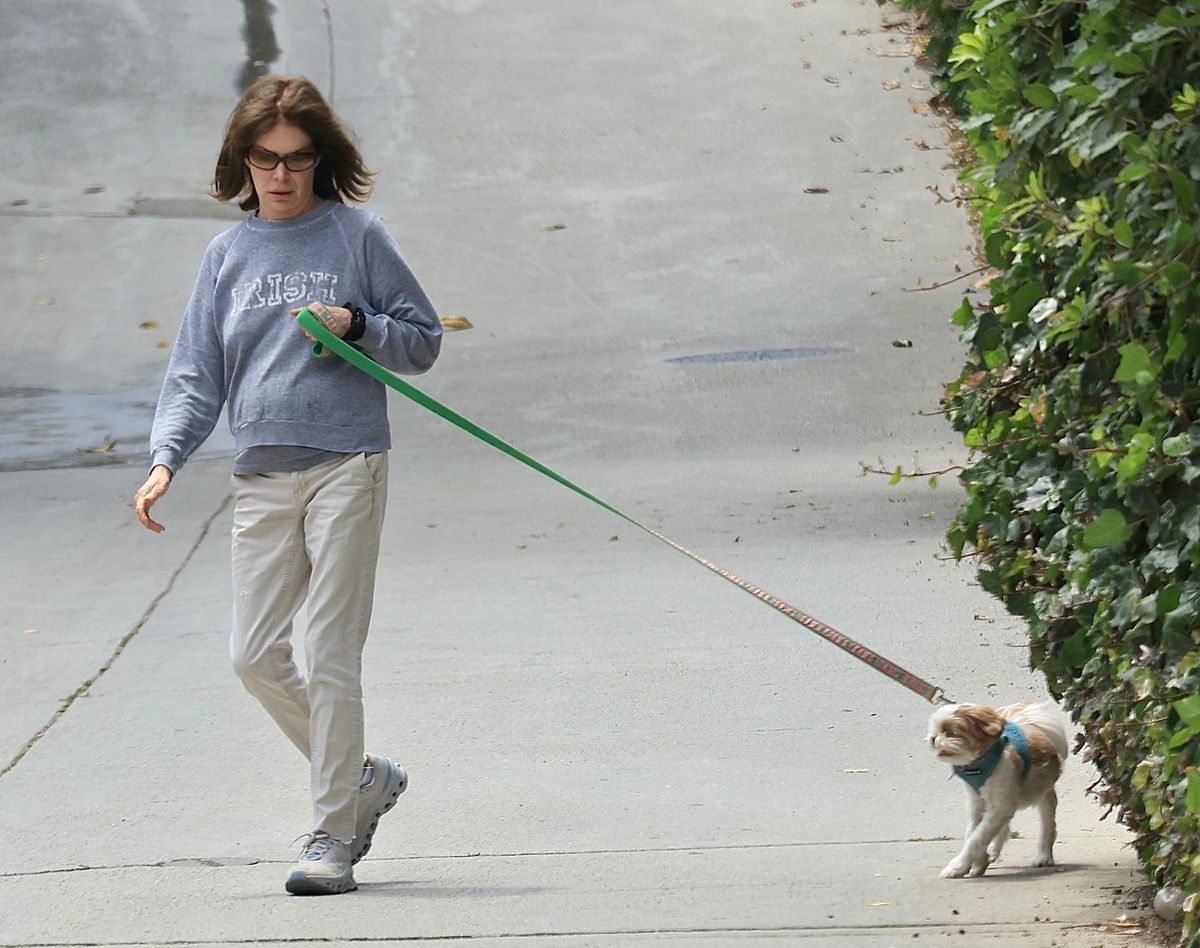 Lara Flynn Boyle Twin peaks