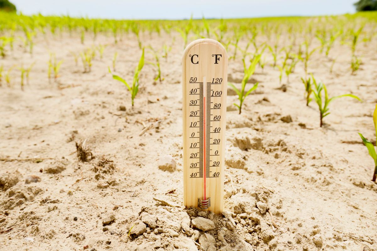 A szuper El Niño rekordmeleget hozhat magával idén nyáron