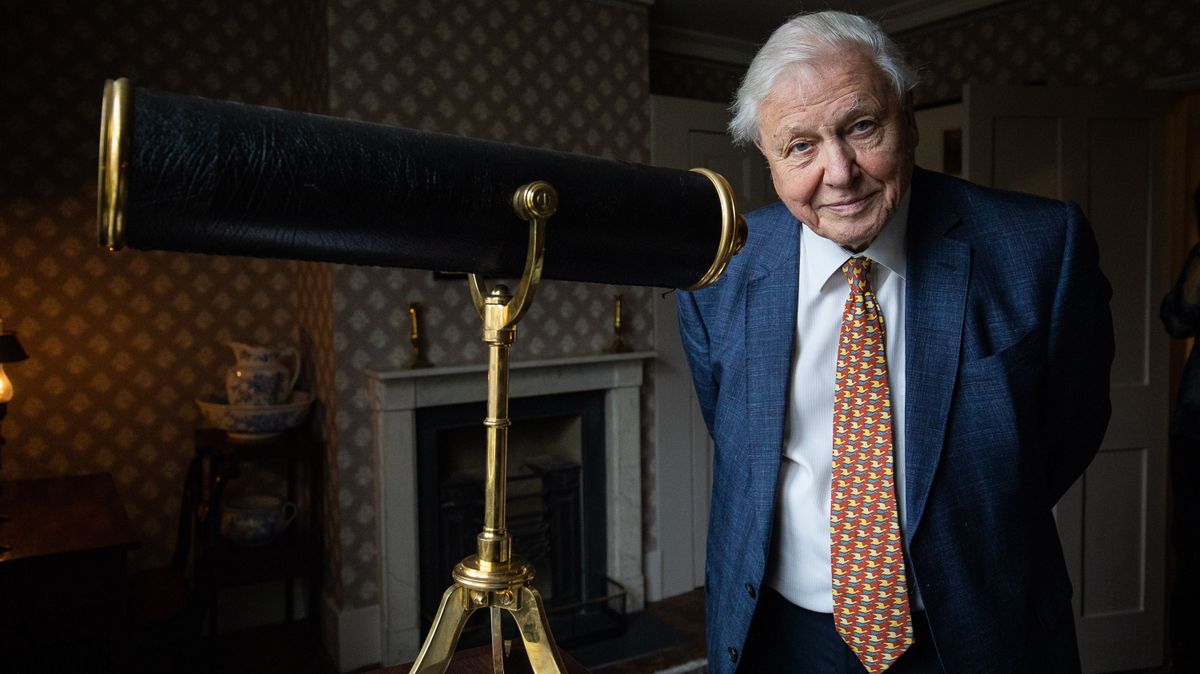 David Attenborough fiatalon akár modell is lehetett volna