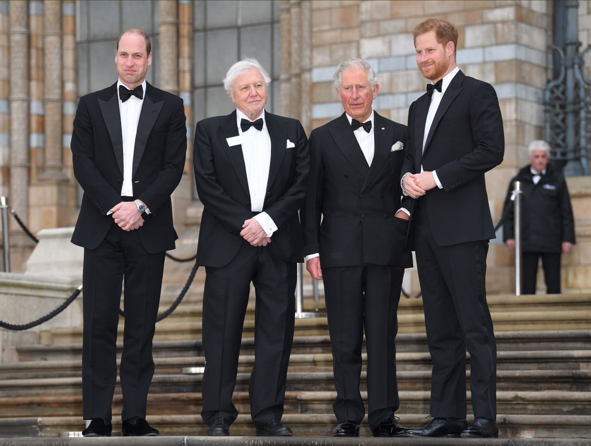 Így köszöntötte harry herceg a 100 éves David Attenborough-t.