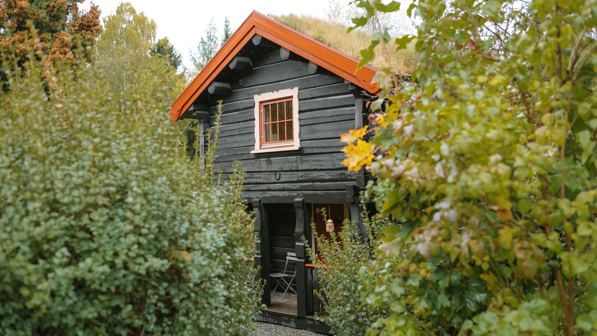 Kis kerti faház az elrdő közepén, egy elszigetelt területen.