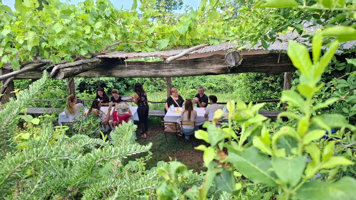 LifeClass Hotels (Gramona Farm)