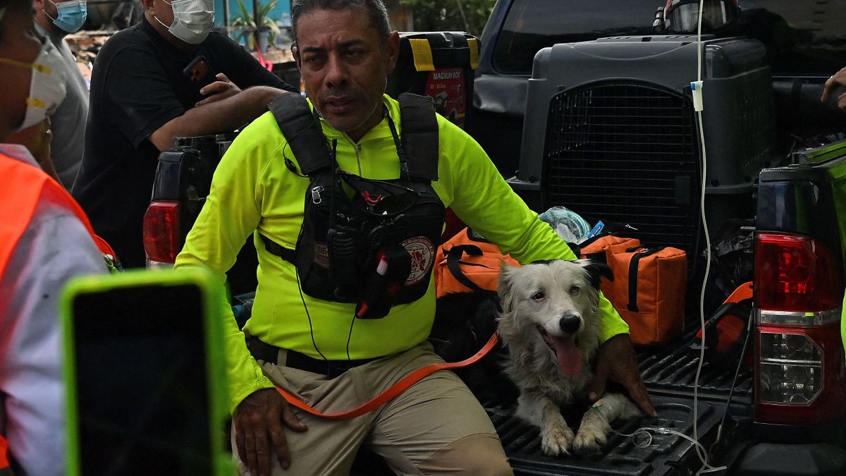 Tsunami a venezuelai földrengés mentése közben.