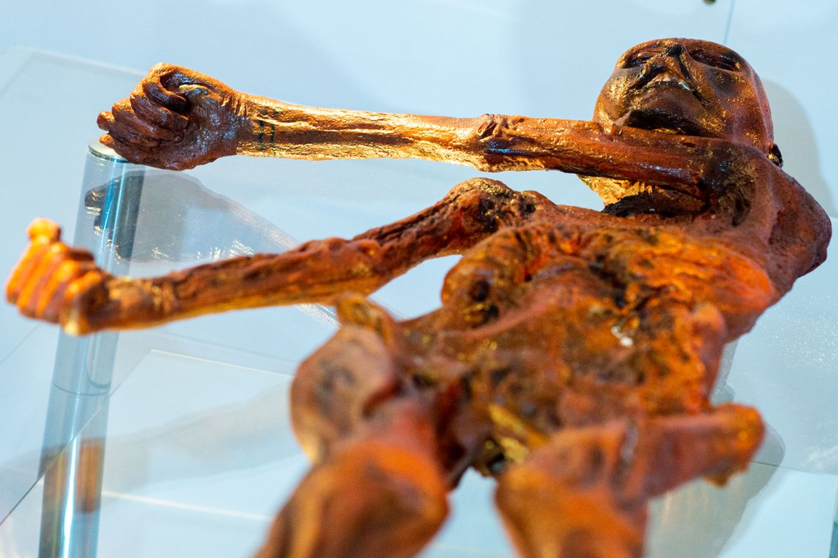Ötzi, a jégember másolata.