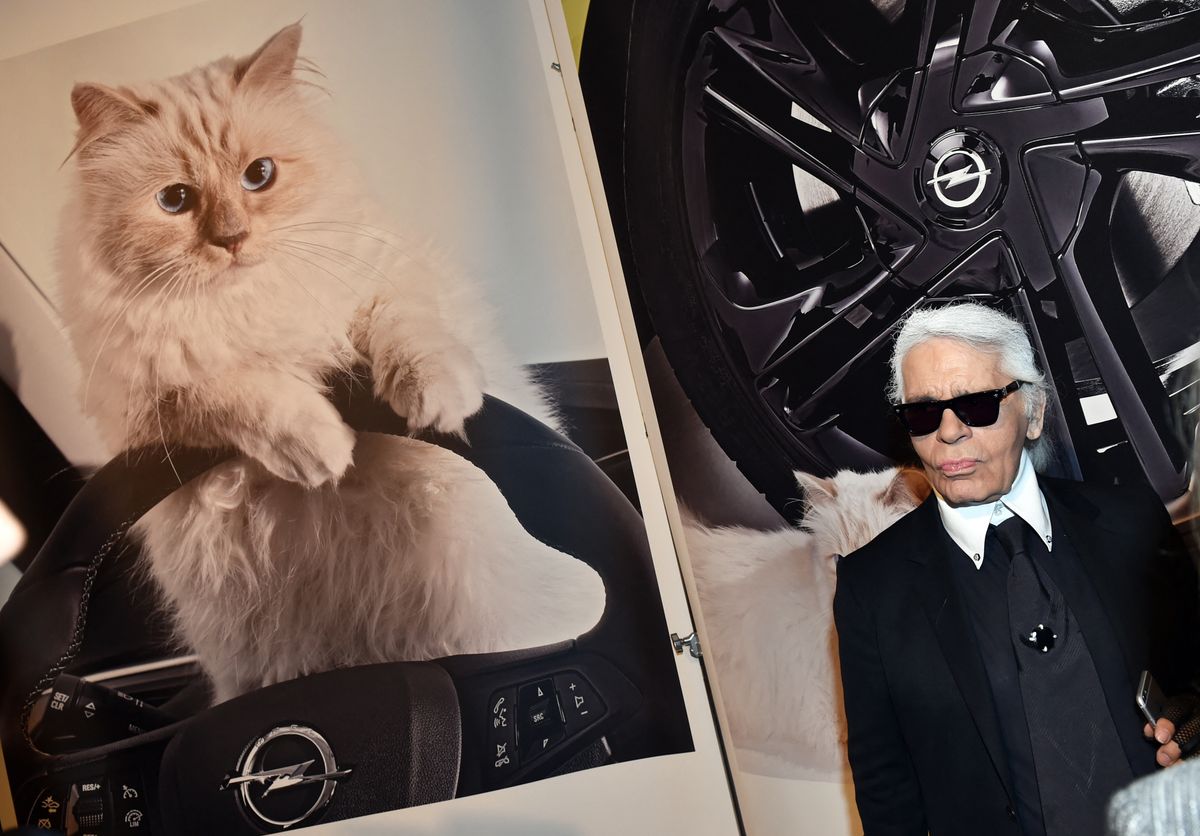 Karl Lagerfeld macskája