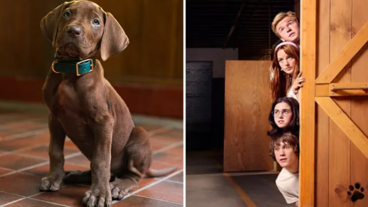 Scooby-Doo-előzménysorozat szereplői