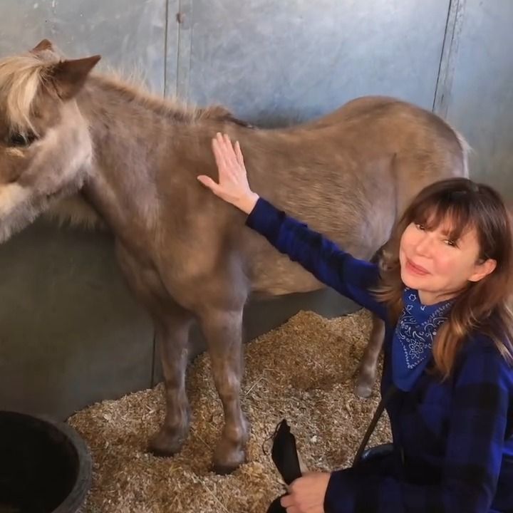 Victoria Principal alig változott valamit