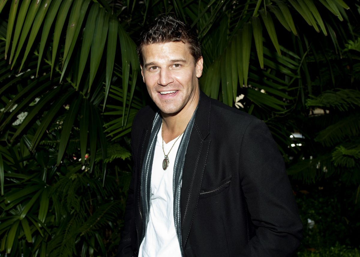 A Dr. Csont sztárja, David Boreanaz.