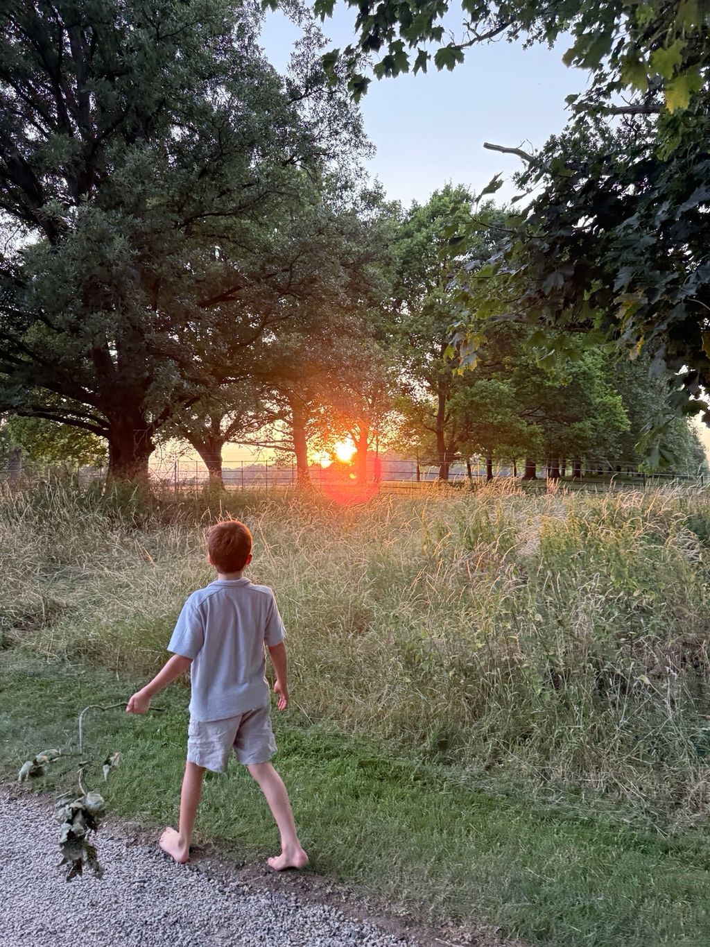 Archie herceg mezitláb a naplemetében