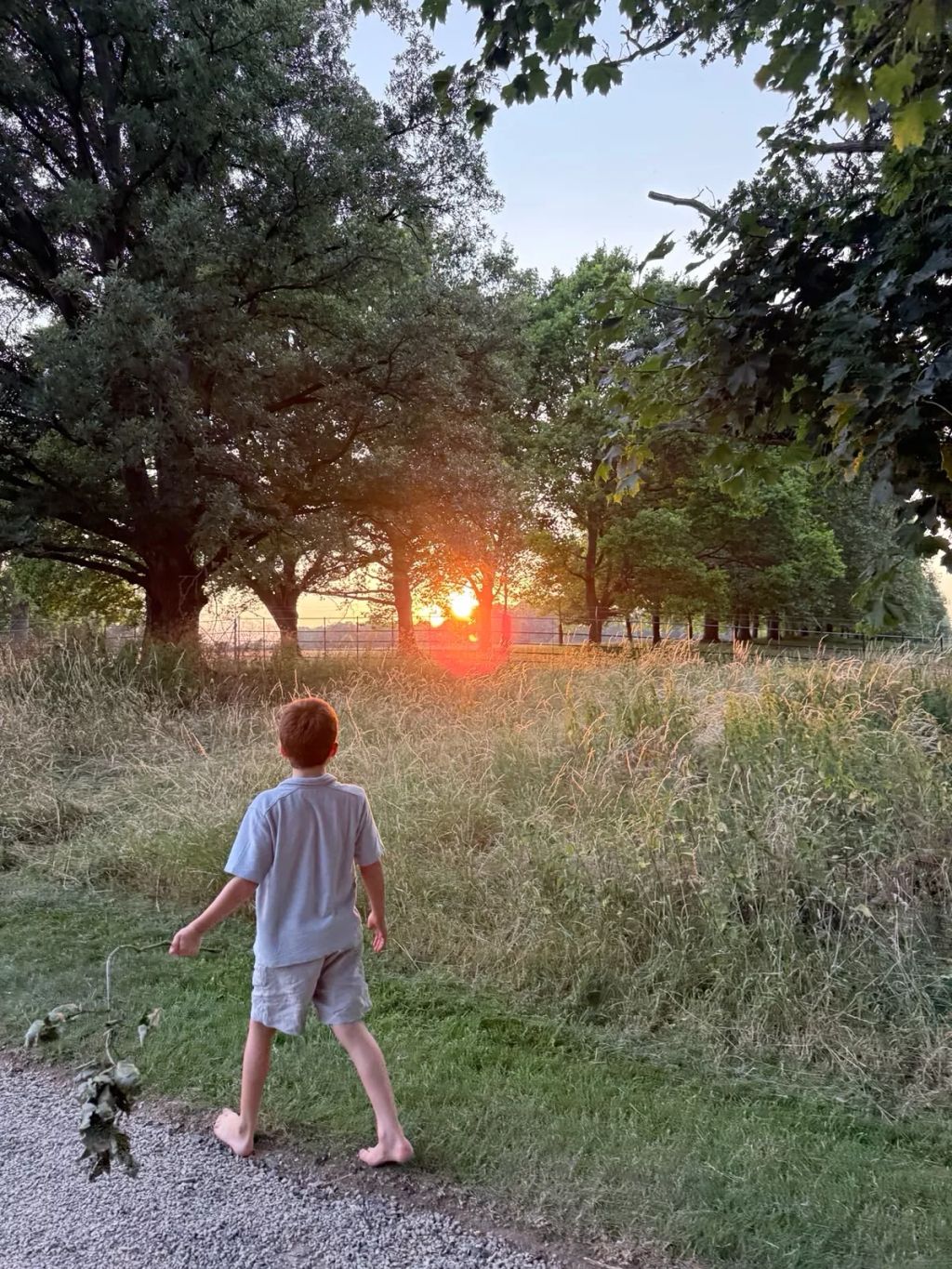 Archie herceg mezitláb a naplemetében