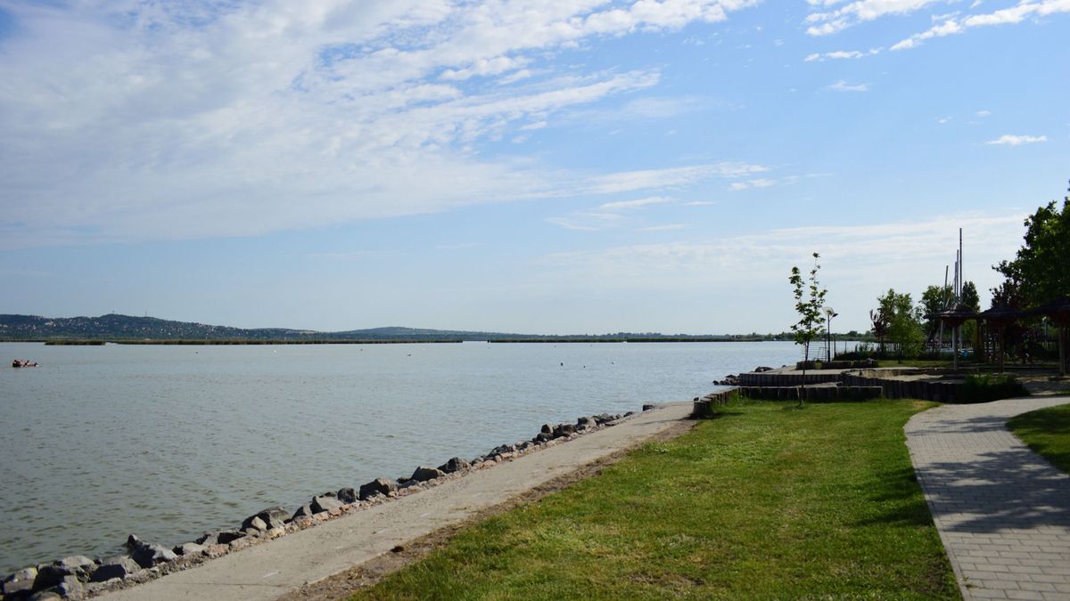 Fürdési tilalom van érvényben több strandon is a Velencei-tónál