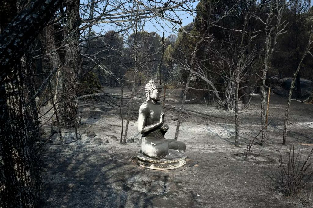 Egy megégett Buddha-szobor áll egy felperzselt kertben az erdőtűz után a Madridtól délnyugatra, 65 kilométerre fekvő Pelayos de la Presában. A spanyol kormány a múlt héten hirdetett országos vészhelyzetet az ország történetének legsúlyosabb erdőtüzei miat