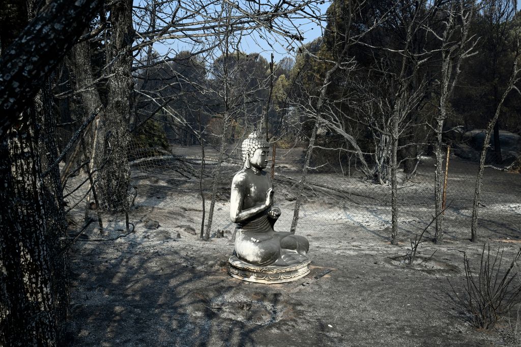 Egy megégett Buddha-szobor áll egy felperzselt kertben az erdőtűz után a Madridtól délnyugatra, 65 kilométerre fekvő Pelayos de la Presában. A spanyol kormány a múlt héten hirdetett országos vészhelyzetet az ország történetének legsúlyosabb erdőtüzei miat