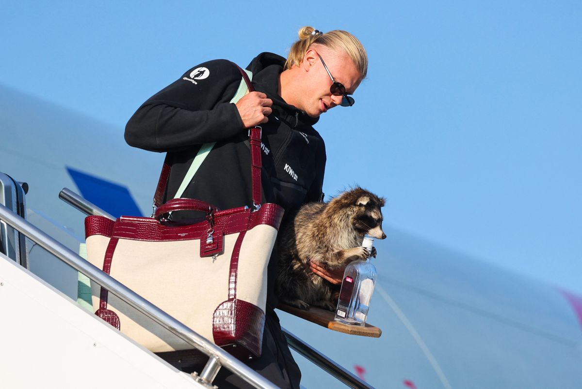 Norway's striker Erling Braut Haaland carries a taxidermy raccoon as he gets off the plane after Norway's national football team landed at Oslo's Gardermoen Airport on July 13, 2026. Norway were knocked out in the quarter-final match against England. (Photo by Jan Langhaug / NTB / AFP) / Norway OUT