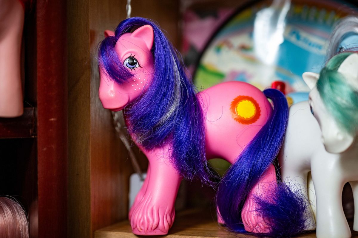 Mirandia Worby with her My Little Pony collection. Mirandia from Suffolk has a collection of almost 6,000 toys and her £35k collection has it's own room. // A My Little Pony superfan who has a whole room dedicated to her £35k collection has now skyrocketed to almost 6,000 toys. Miranda Worby, 42, has been collecting the toy line based on colourful ponies since she was a little girl. The artist from Lowestoft, Suffolk, even bought a new house so she could display her collection of the plastic creatures in a 'pony room'. Now Miranda has collected more than 5,000 toys including a 3-foot-tall amusement ride and said toy collecting is not 'childish'.  
Photo released 30/12/2025